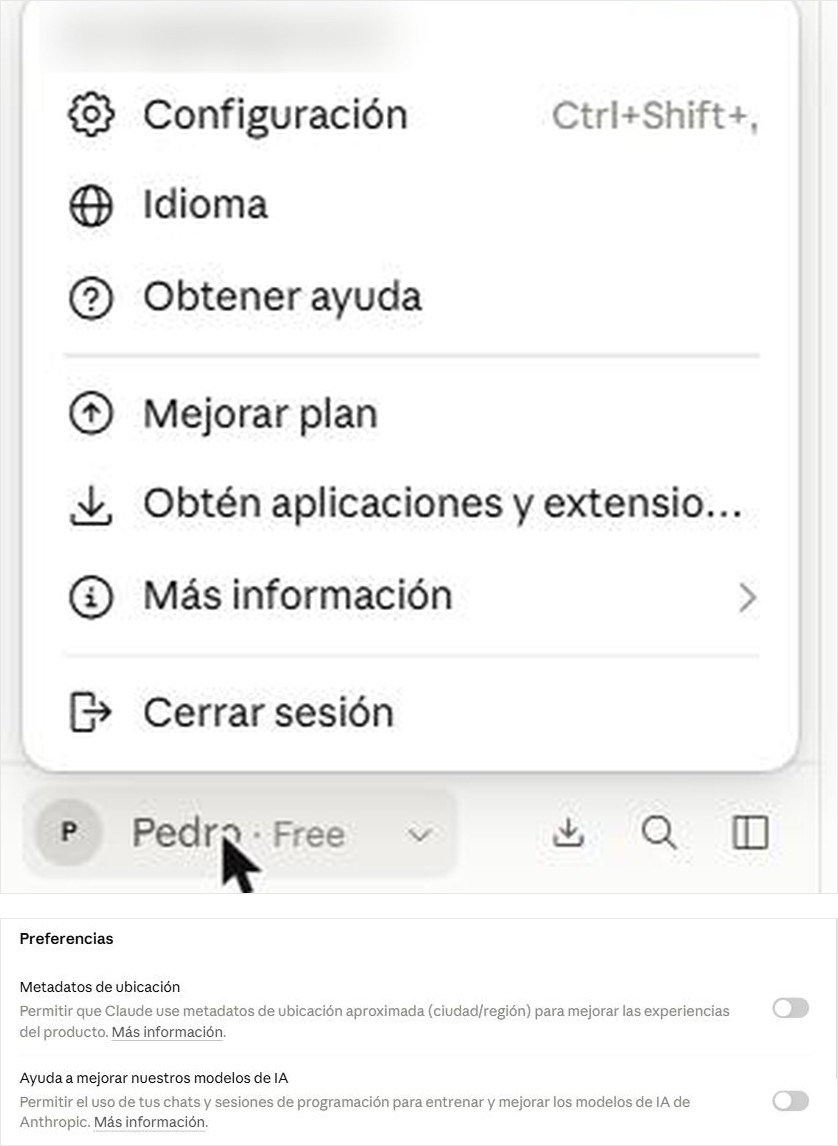 Captura pendiente: menú de la esquina abierto y, al lado, Privacidad con los dos interruptores apagados